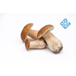 Frozen Ceps 46 Cm    急凍4 /6Cm 原隻牛肝菌  Selected By Cff