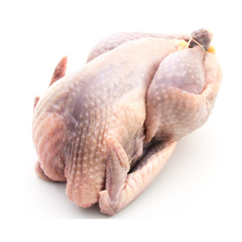 Frozen Guinea Fowl Grade A Or   法國急凍原隻珍珠雞  Selected By Cff