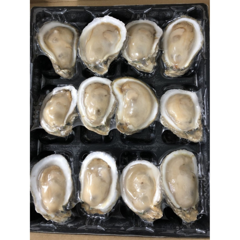 Frozen Half Shell Oyster No.3    Flowea  急凍半殼生蠔  Cinq Degrés Ouest