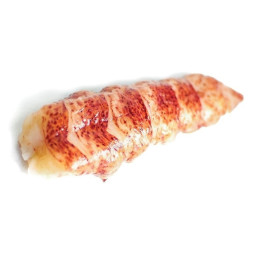 Frozen Canadian Lobster Tail Shell Off ~  急凍加拿大龍蝦尾  Cinq Degrés Ouest