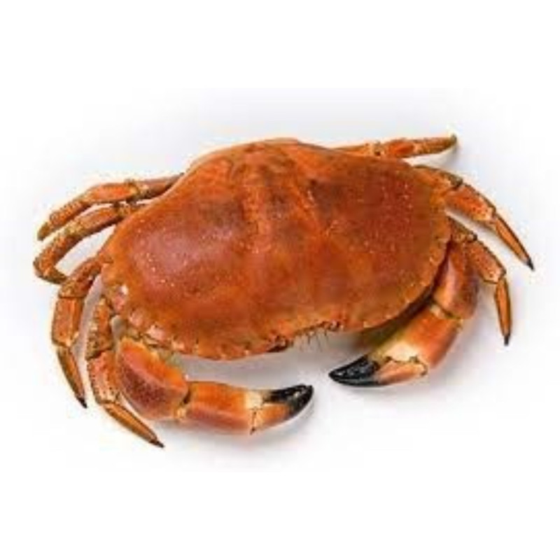 Frozen Crab Whole 600,   急凍蟹  Cinq Degrés Ouest