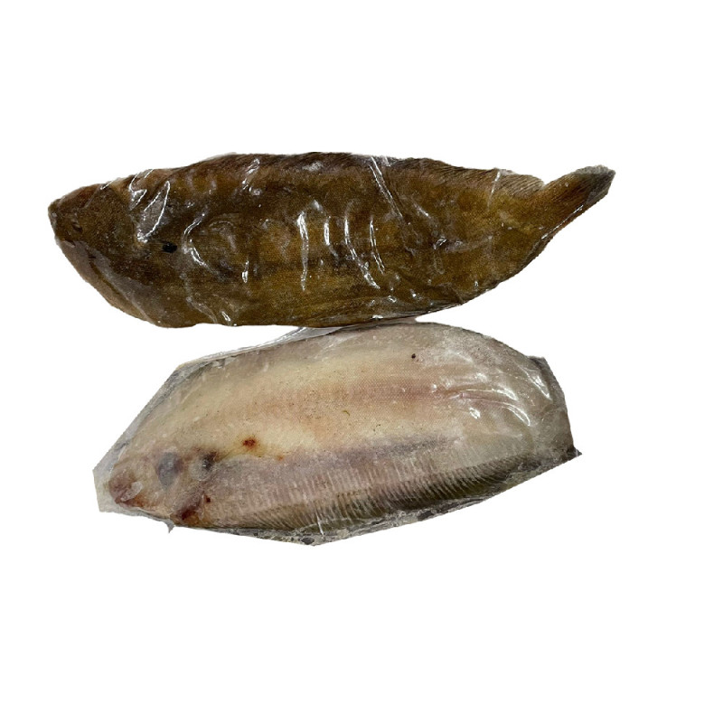 Frozen Dover Sole Gutted 急凍法國龍脷魚  Cinq Degrés Ouest