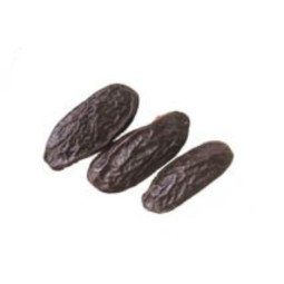 Tonka Beans   薰草豆  Eurovanille