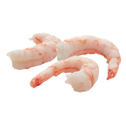 Frozen Wild Coldwater Shrimps Cooked Peeled 45,   急凍野生去皮熟甜蝦  Saga Seafood