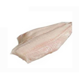 Frozen Icelandic Wildcaught Greenland Halibut Fillet  急凍冰島格陵蘭野生比目魚柳  Saga Seafood