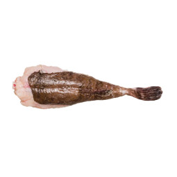 Frozen Monkfish Tail  In Tail With Skin  急凍法國鮟鱇有皮魚尾  Marie Luxe