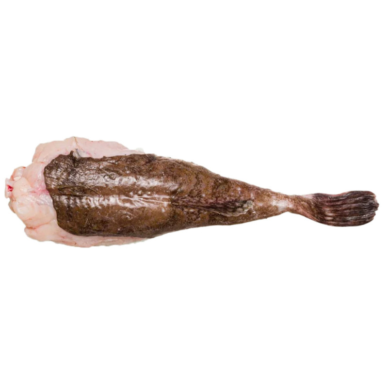 Frozen Monkfish Tail  In Tail With Skin  急凍法國鮟鱇有皮魚尾  Marie Luxe