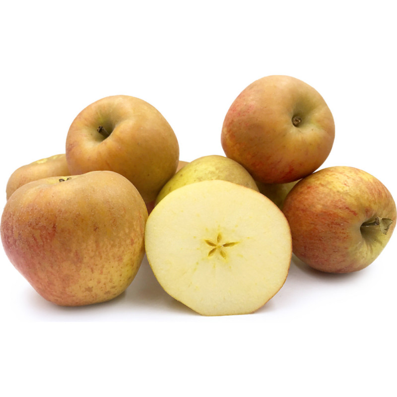 Reinette Apples Cal 201 / 240  Selected By Cff