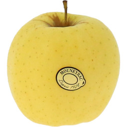 Golden Apple Cal 190/220