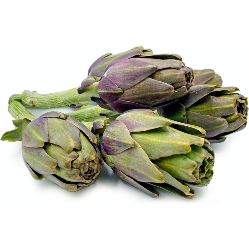 Baby Purple Artichoke