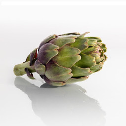 Baby Artichokes Violet