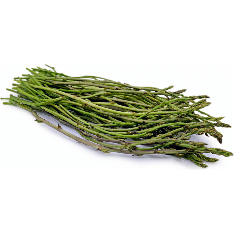 Wild Asparagus