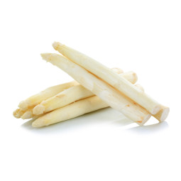 White Asparagus - cal 26+