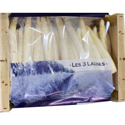 White Asparagus Extra (Les Landes Area) - Cal 32