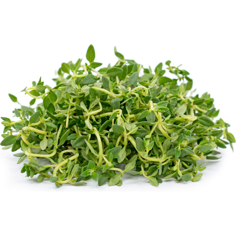 Lemon Thyme