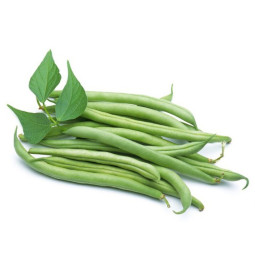 Chilled Extra Fine Green Beans  2.  特幼嫩四季豆  Selected By Cff