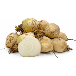 White Beetroot