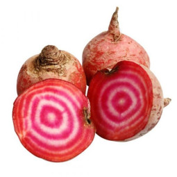 Chilled Candy Beetroot    紅菜頭  Selected By Cff