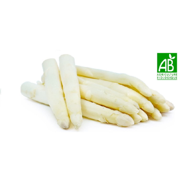 Organic White Asparagus - cal16/20