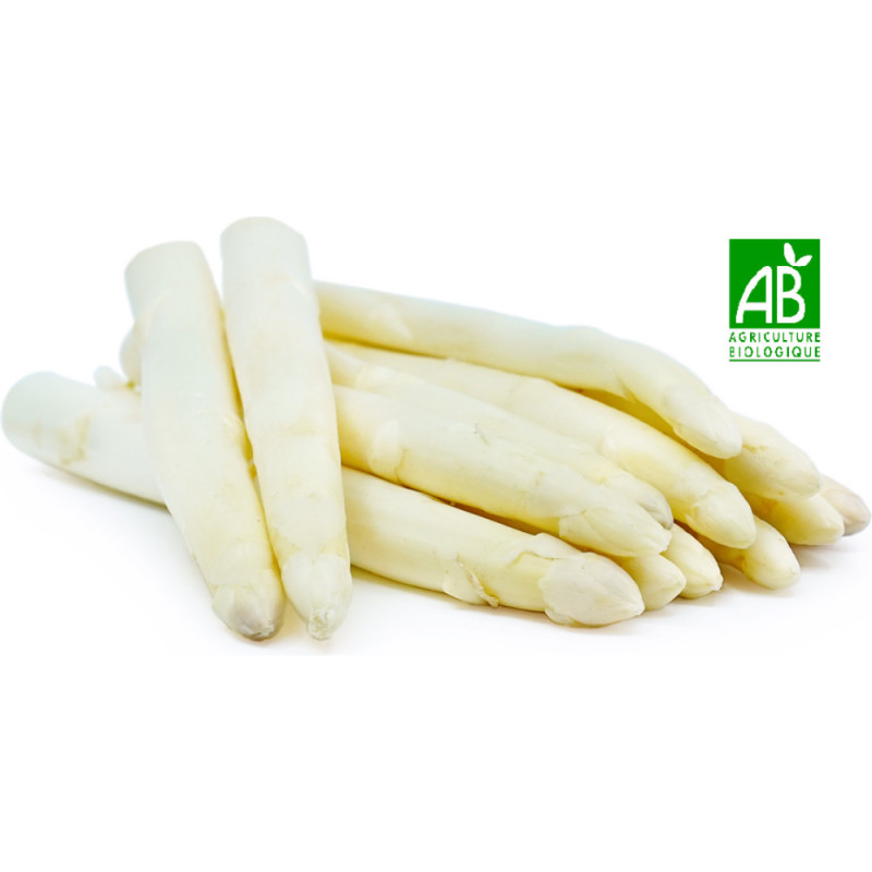 Organic White Asparagus - cal 26+