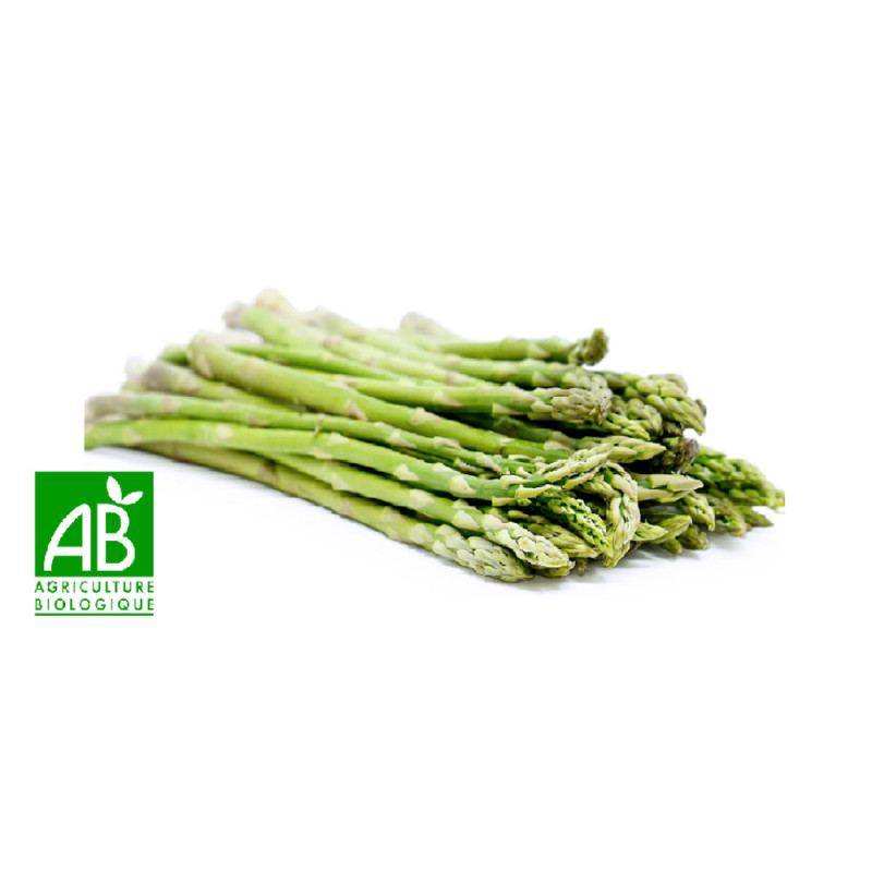 Organic Green Asparagus - cal 16/22