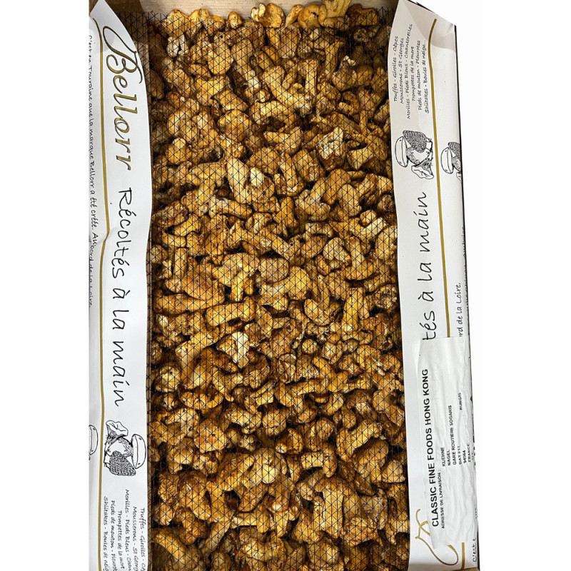 Bellorr Fresh Girolles  Mini  Bellorr
