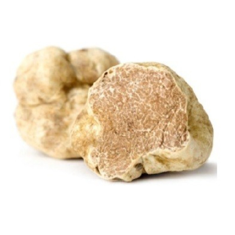 Fresh White Truffle