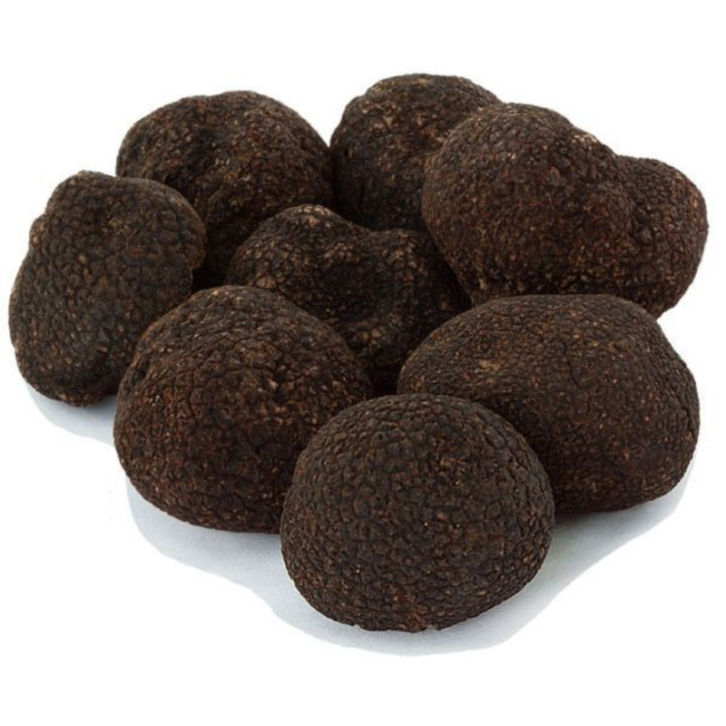 Fresh Black Truffle Whole - Extra