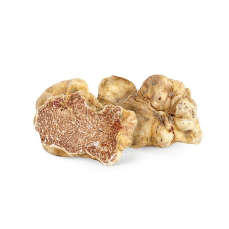 Fresh White Truffle Piece