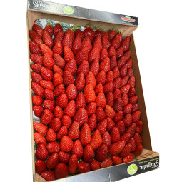 Strawberry Gariguette