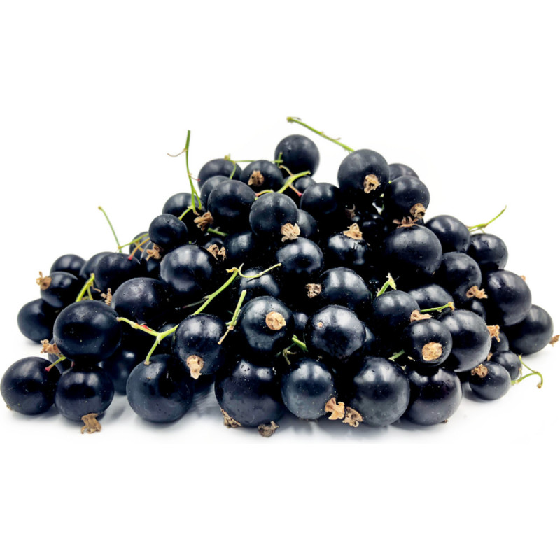 Blackcurrant 黑加侖子 Blackcurrant 黑加侖子