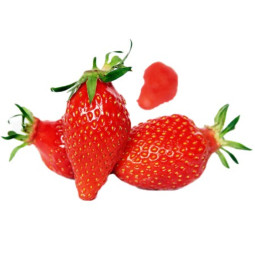 Strawberry Gariguette