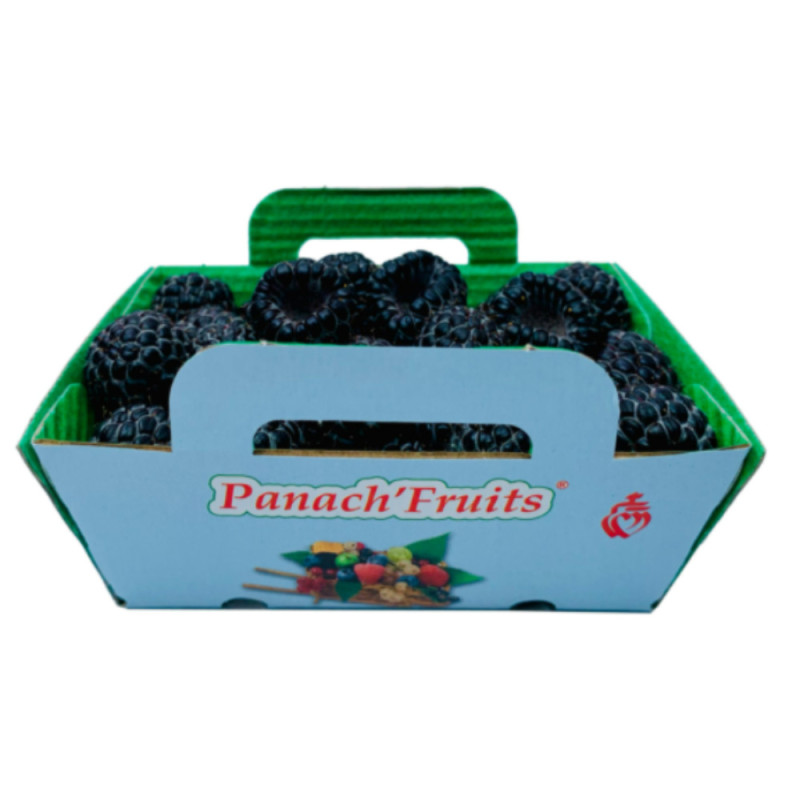 Blackberry Panach Blackberry Panach