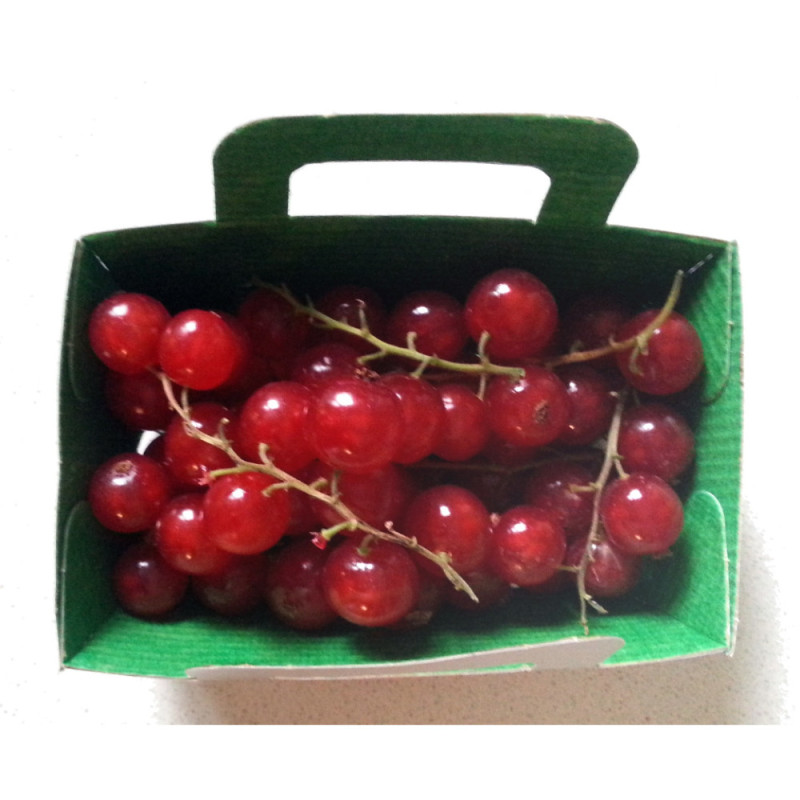 Red Currant Panach