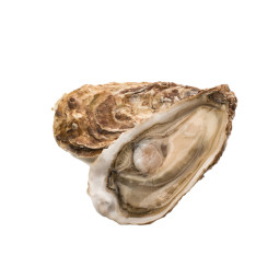 Chilled Perle Blanche Oyster No.2    法國白珍珠蠔  Selected By Cff