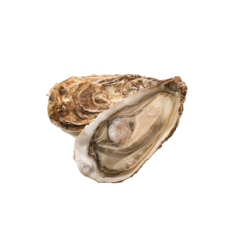 Chilled Perle Blanche Oyster No.3    法國白珍珠蠔  Selected By Cff