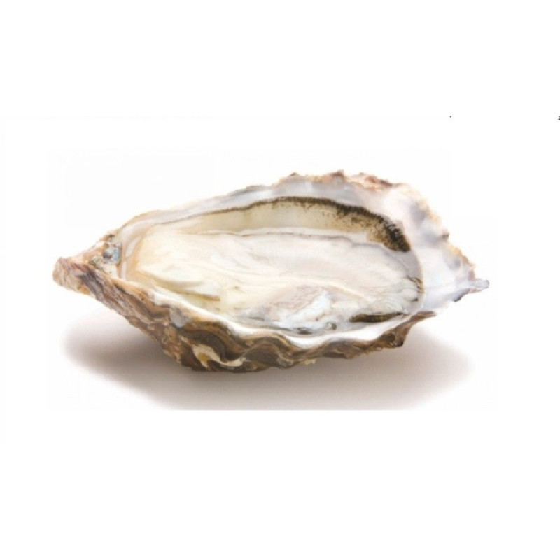 Chilled Gillardeau Oyster  No.3   法國冰鮮吉拉多生蠔 3號  Selected By Cff