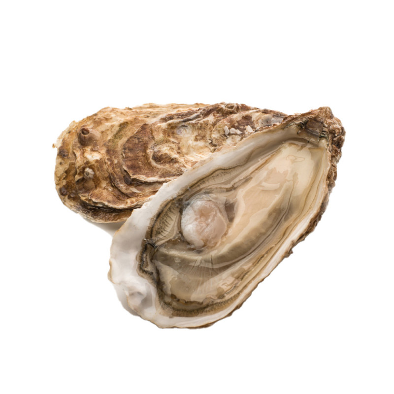 Chilled Perle Blanche Oyster No.1    法國白珍珠蠔  Selected By Cff