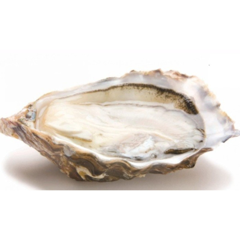 Chilled Gillardeau Oyster No.0     法國冰鮮吉拉多生蠔 0號  Selected By Cff