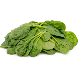 Chilled Salad  Spinach Young Leaves 菠菜嫩葉沙律  Selected By Cff