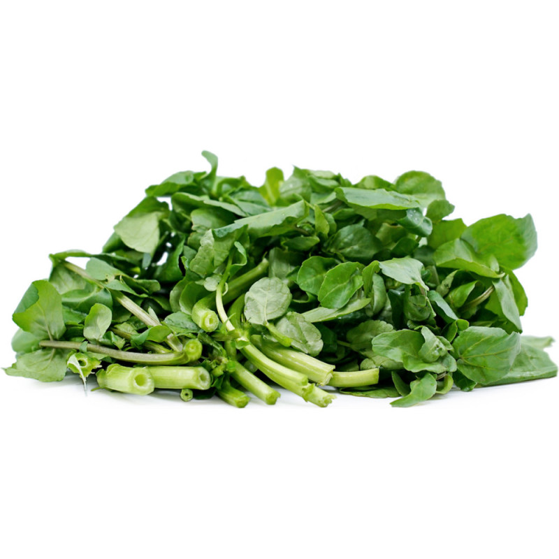 Watercress