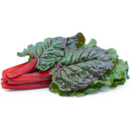 Chilled Salad  Red Chard    瑞士甜菜  Selected By Cff