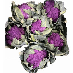 Chilled Cauliflower  Purple    紫椰菜花  Selected By Cff