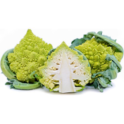 Romanesco Cabbage / Broccoli - Cat 1