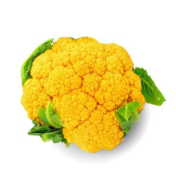 Chilled Cauliflower  Yellow    黃椰菜花  Selected By Cff