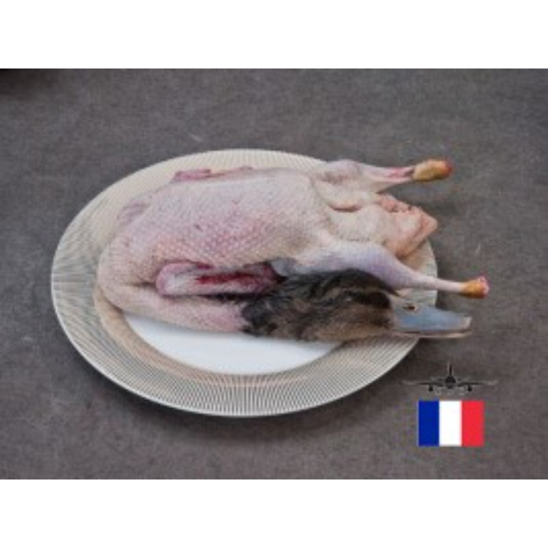 Chilled Burgaud  Challandais Duck With Blood Effile  法國challandais鴨連血 (連頭，連內臟)