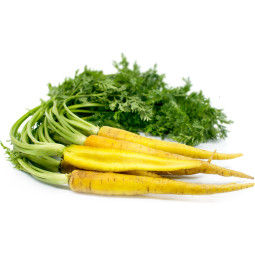 Chilled Baby Yellow Carrot     黃甘筍仔  Selected By Cff