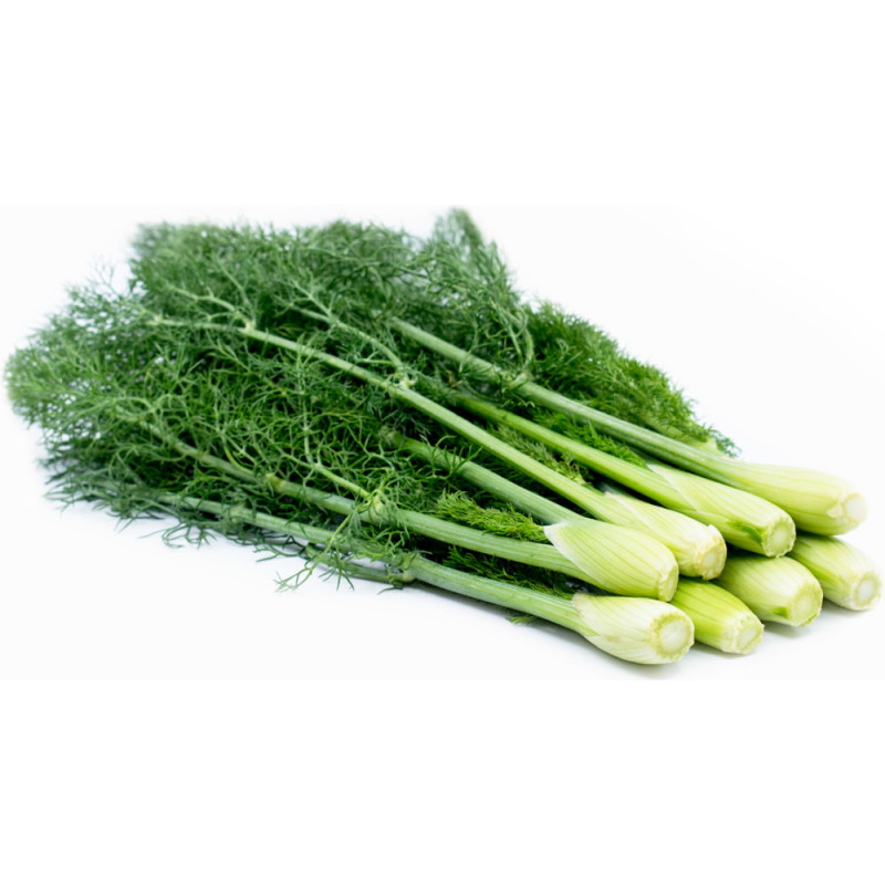 Chilled Baby Fennel     茴香仔  Selected By Cff