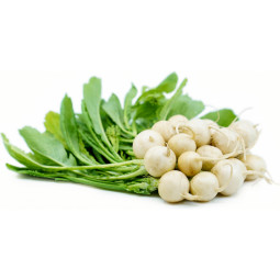 Chilled Baby Turnip     蕪菁仔  Selected By Cff