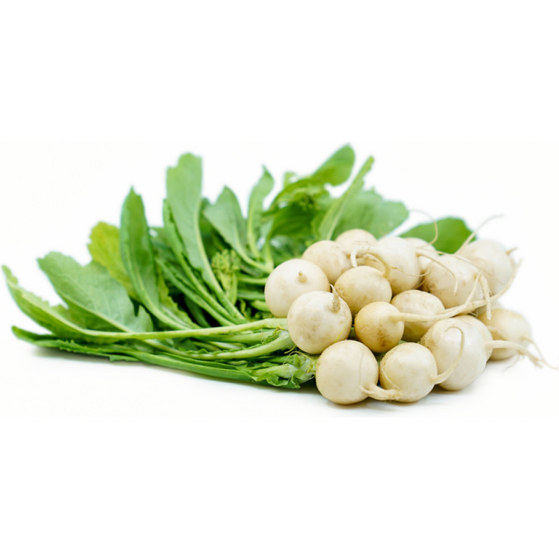 Chilled Baby Turnip 蕪菁仔 Selected By Cff Chilled Baby Turnip 蕪菁仔 Selected By Cff